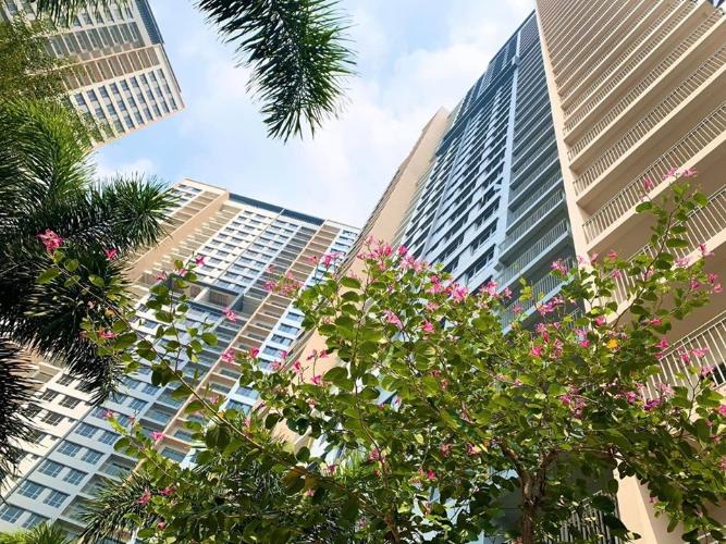 Công ty TNHH Một thành viên Bao Bì Giấy Thành Tiến