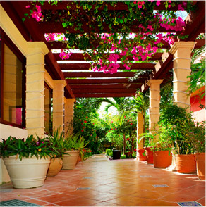 Công ty TNHH Một thành viên Bao Bì Giấy Thành Tiến