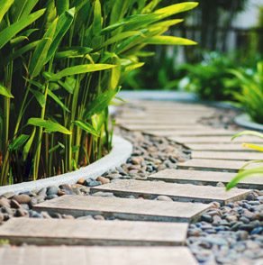 Công ty TNHH Một thành viên Bao Bì Giấy Thành Tiến